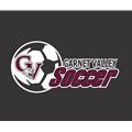 Shop Garnet Valley Boys Soccer 2021 Shoes