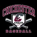 Shop Chichester Baseball Shoes