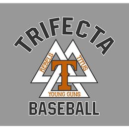 
                                        Custom Store for Trifecta Baseball