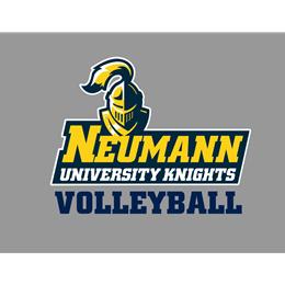 
                                        Custom Store for Neumann Volleyball