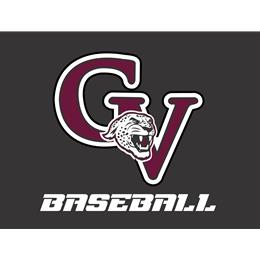 
                                        Custom Store for Garnet Valley Baseball 2022